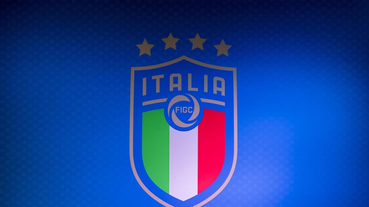 Figc: "I biglietti della Nazionale in vendita solo sui canali ufficiali"
