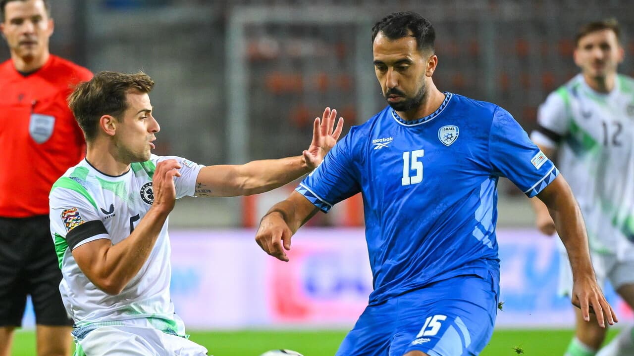 Nations League, il ct dell'Irlanda: 'Abbiamo attirato l'attenzione del mondo su Gaza'